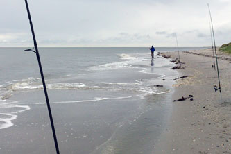 Kystfiskeri efter skrubber ved Lyngså Strand